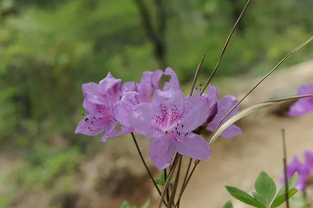 해남 맛집 베스트10 현지인 숨겨진 맛집_7