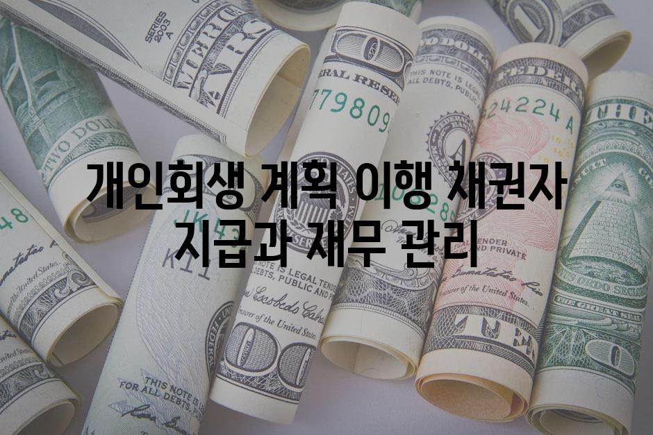 개인회생 계획 이행 채권자 지급과 재무 관리