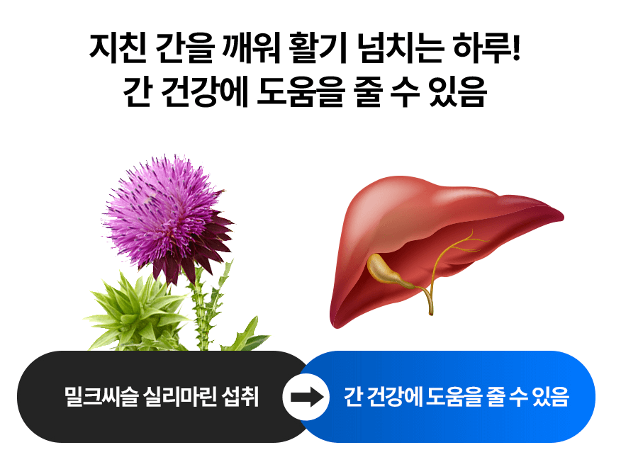 2023년 맨올로지컷 파란통 다이어트 후기! 총정리