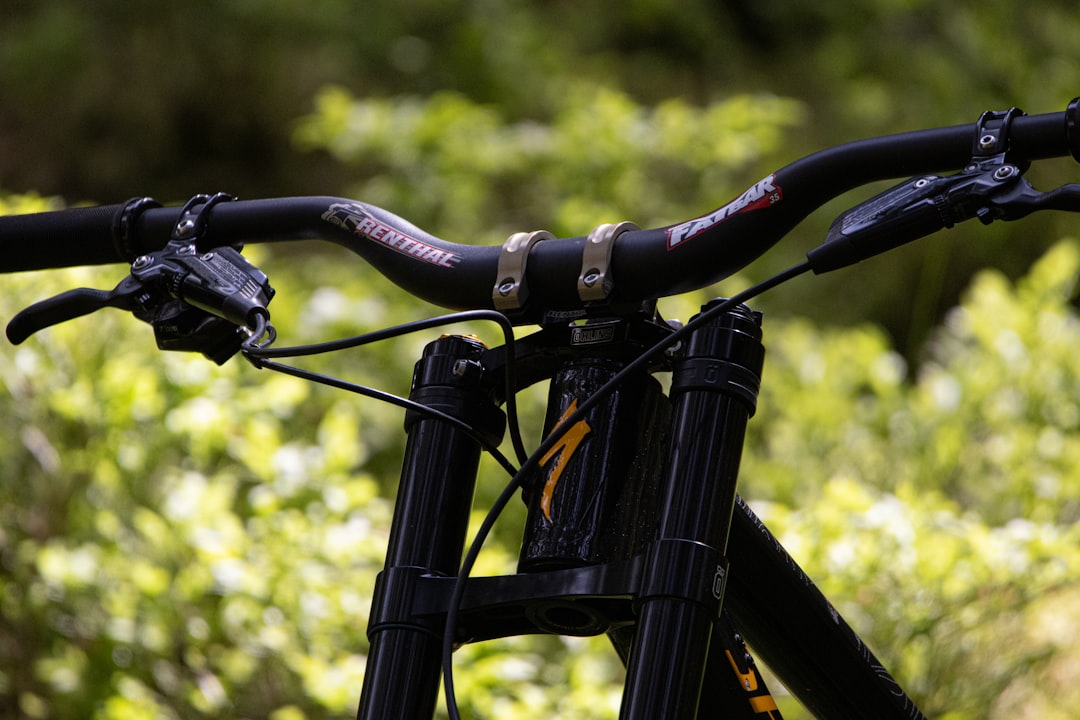 specialized