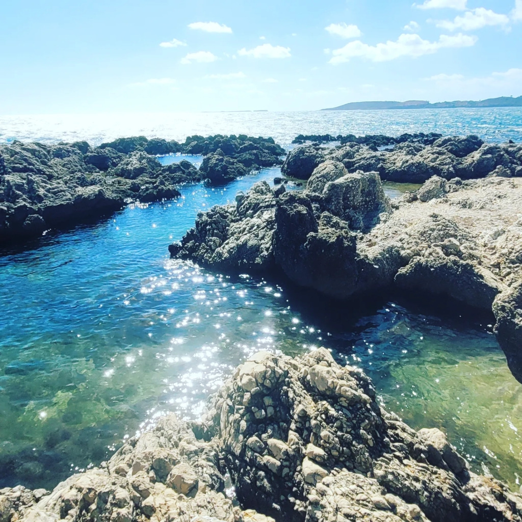 4일 가이드 혼자 여행 케팔로니아: 그리스 이오니아 제도