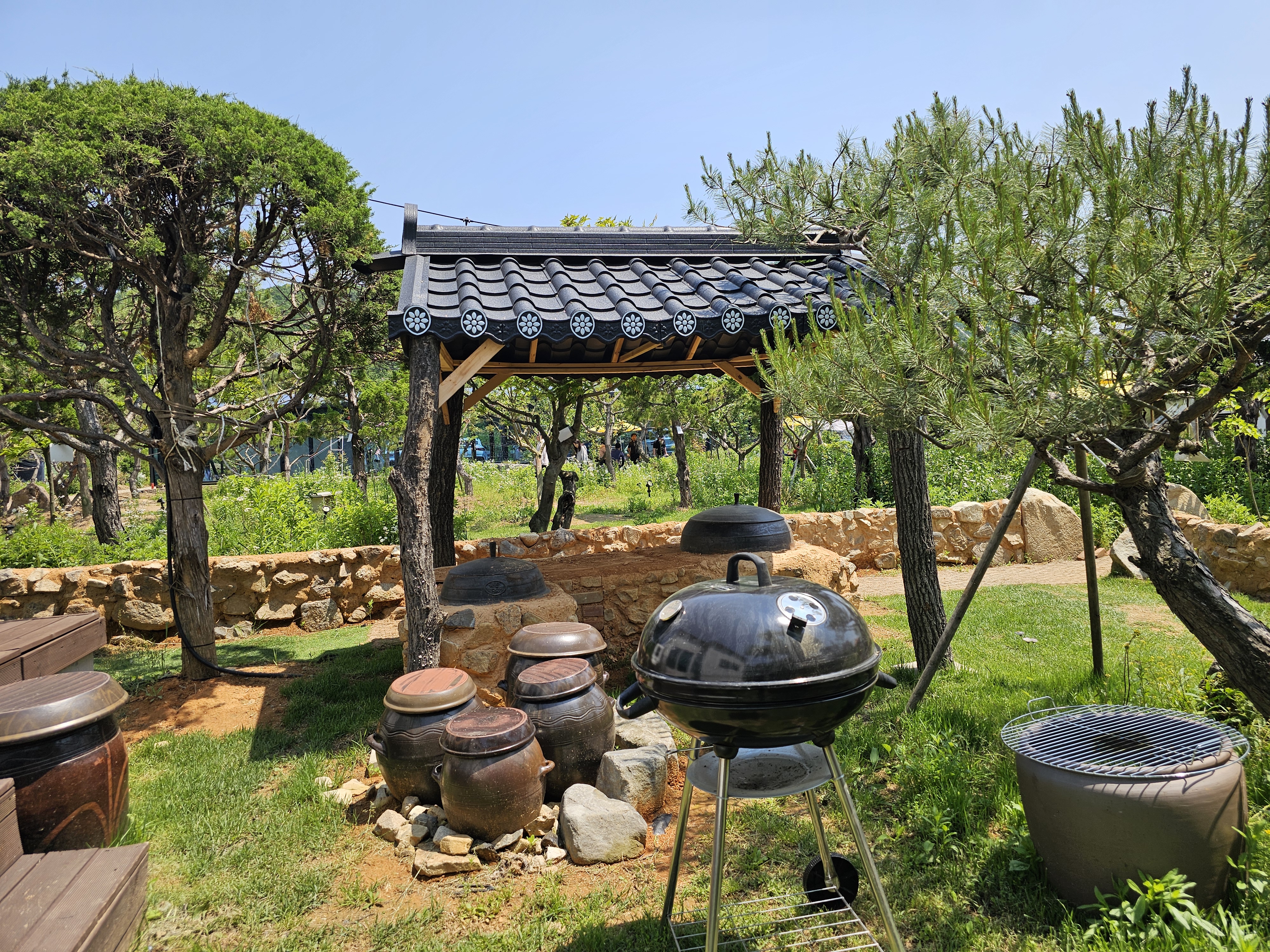 가을 노란 단풍이 물든 정원