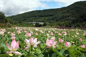 여름휴가 국내여행지 베스트 10