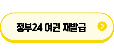 정부24 여권 재발급