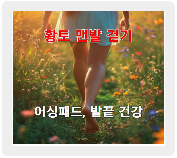 황토 맨발 걷기와 어싱패드, 겨울에도 발끝 건강 챙기는 꿀팁