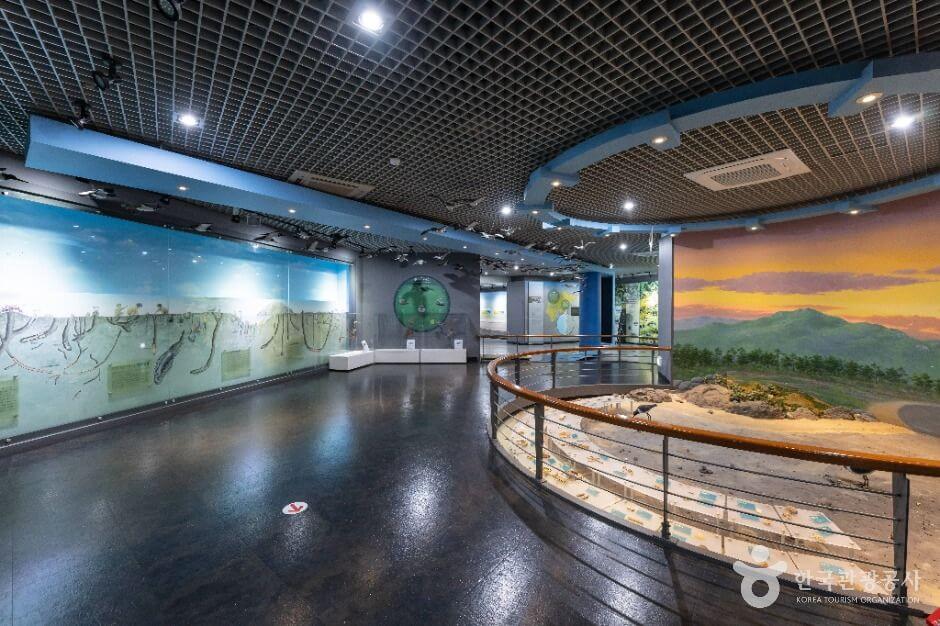 신안 가볼만한곳 베스트 10
