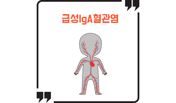 드물게 발병하는 성인 급성 IgA 혈관염