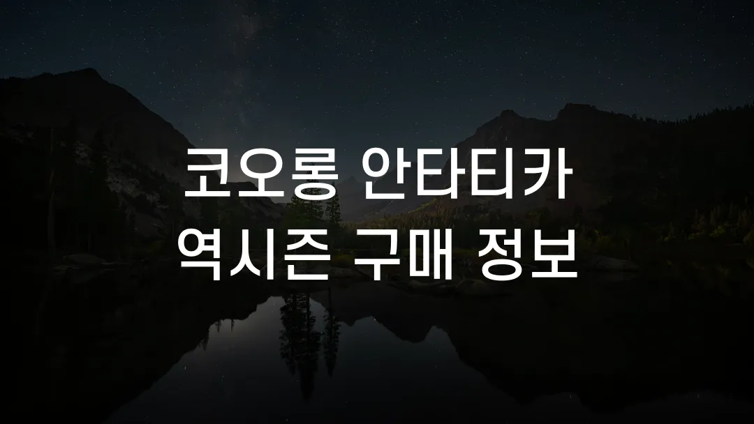 코오롱 안타티카 역시즌 구매 정보