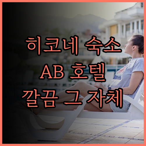 AB Hotel Hikone, 히코네