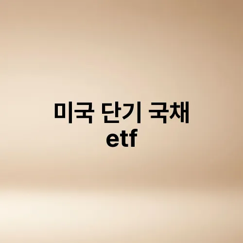 미국 단기 국채 etf