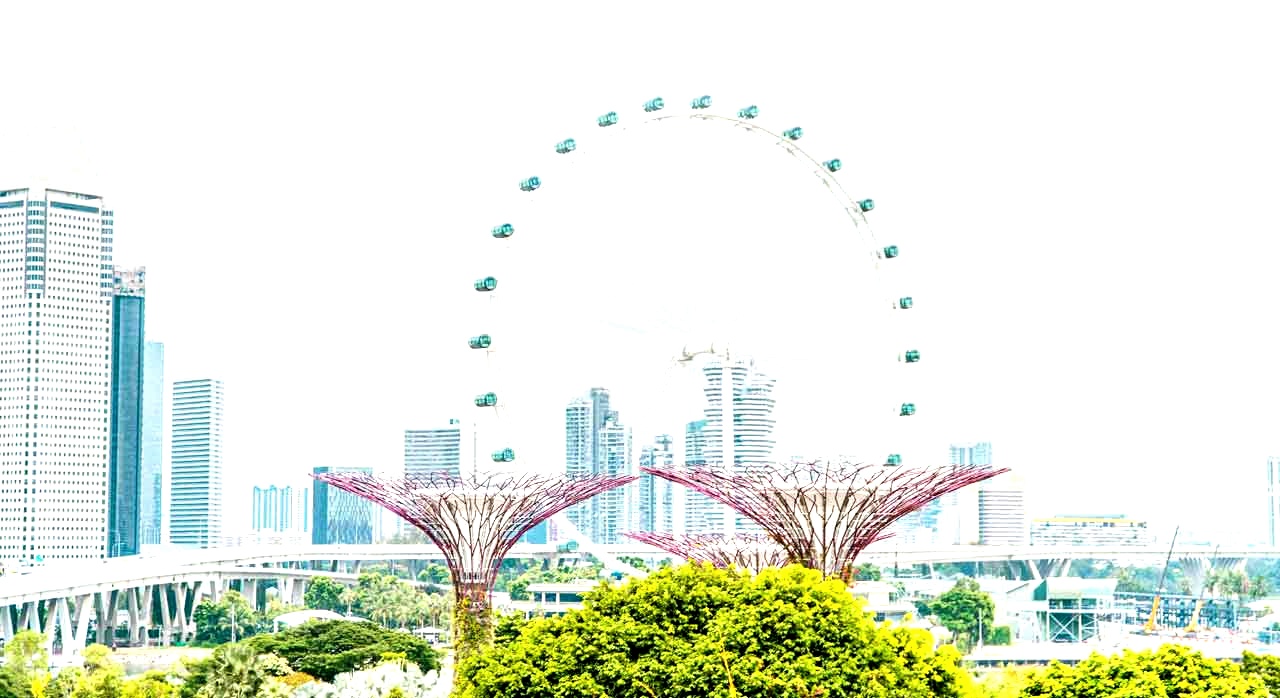 싱가포르의 플라이어 대관람차가 보이는 풍경. [ⓒPexels &lsquo;Christian Alemu&lsquo;]