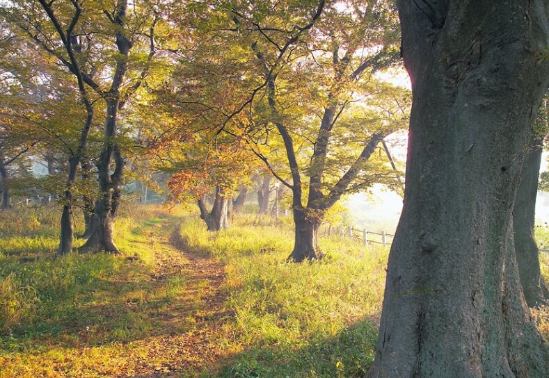 영광 가볼만한곳 베스트 10