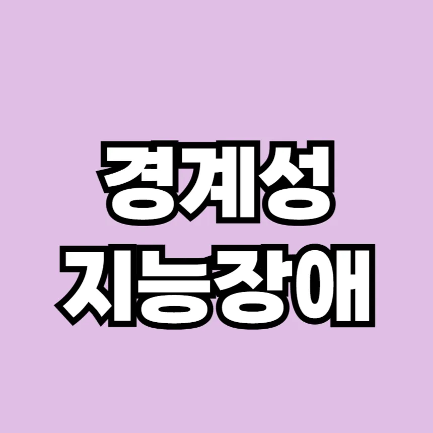 경계성 지능장애 특징