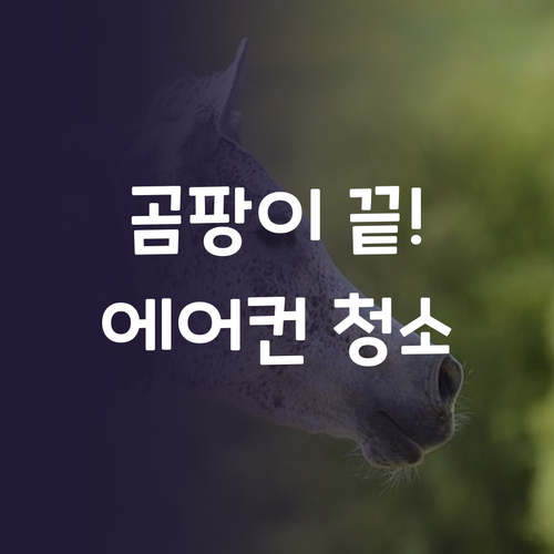 에코빌레 셀프 에어컨 세척제로 곰팡이..