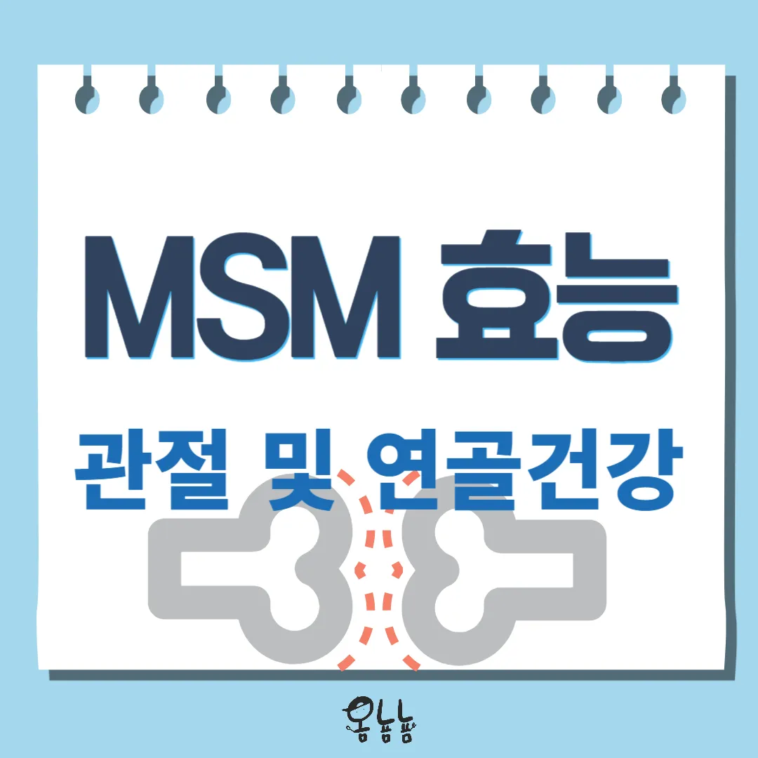 MSM 효능