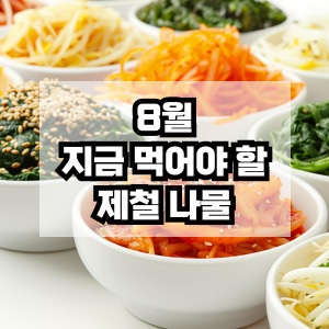 8월 제철나물 추천