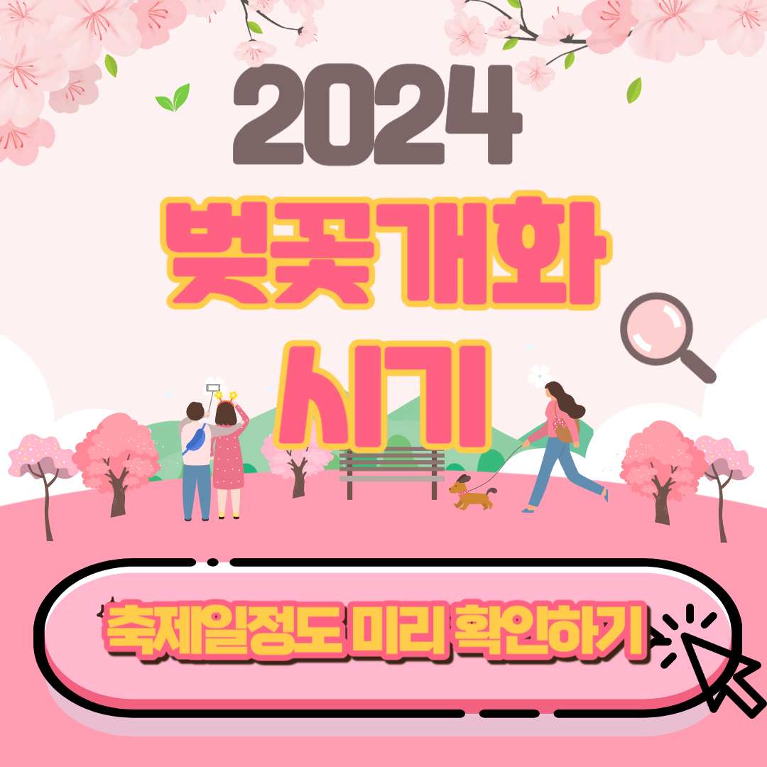 2024년 벚꽃 개화시기 벚꽃 축제 일정