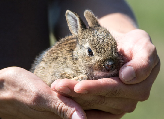 띠별 운세 11월 1일