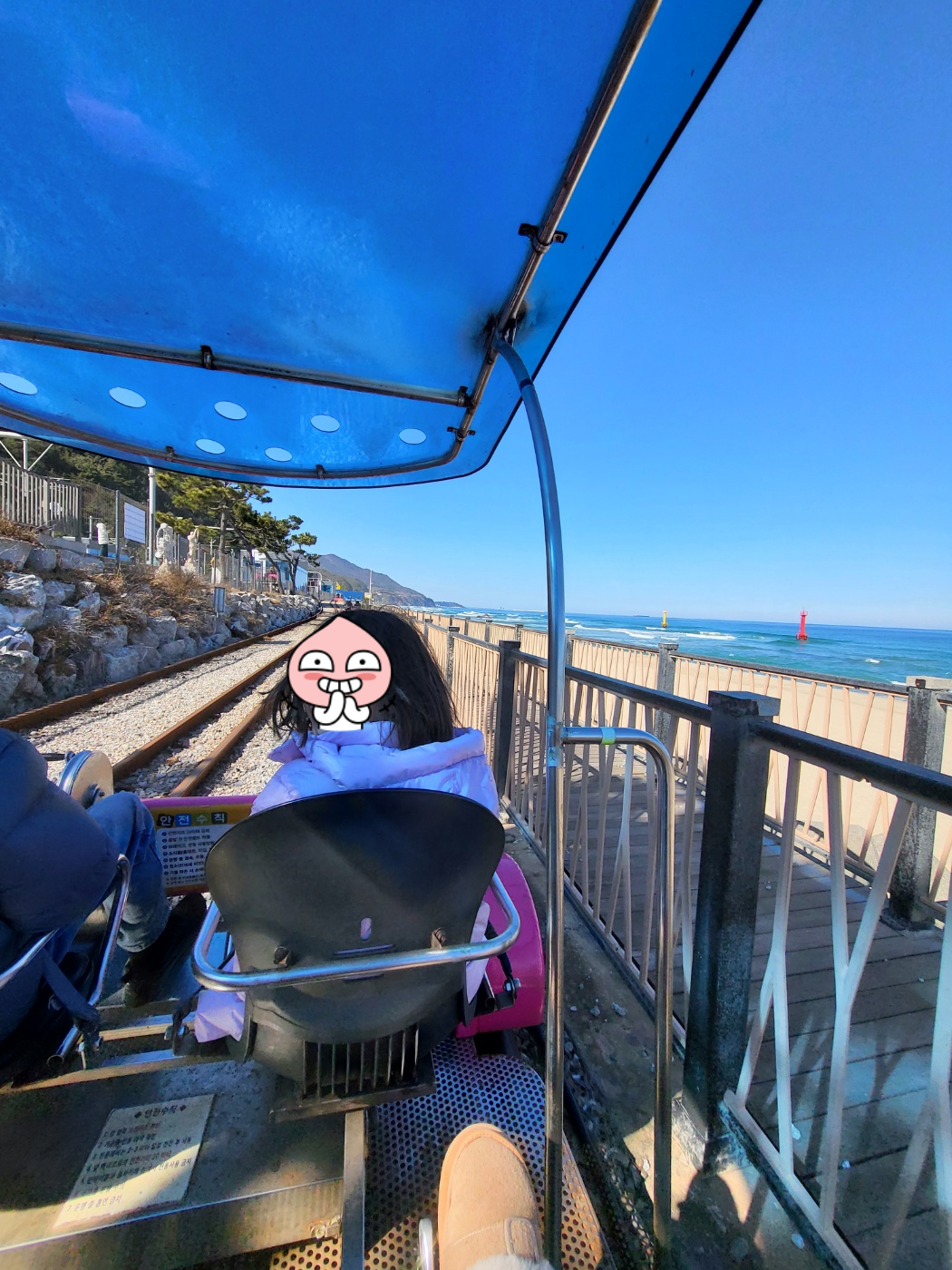 정동진 레일바이크 내돈내산 꿀팁: 모든 타임 매진 주의! 예약 방법과 입장료 정보 총정리