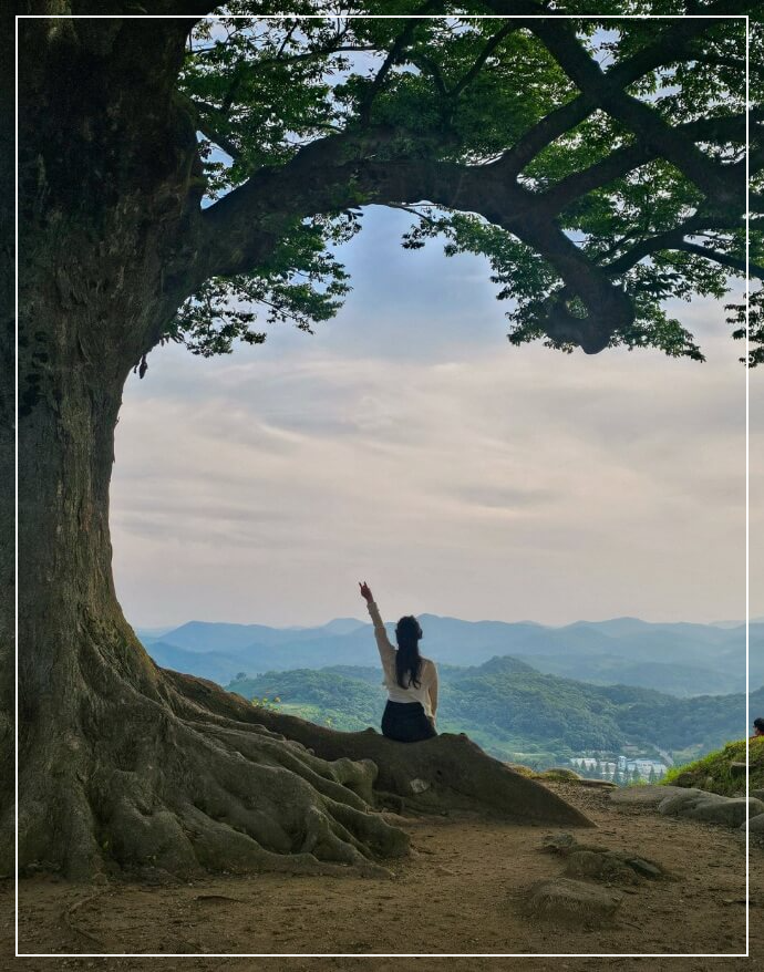 부여 가볼만한곳 베스트10 성흥산 사랑나무