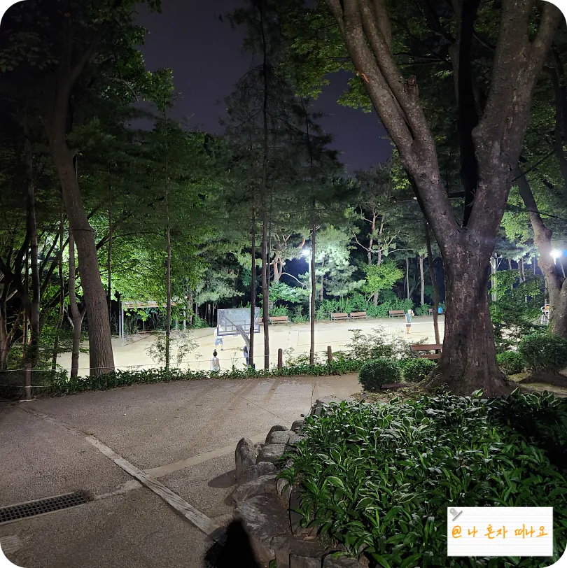 공원에서-운동하는-사람들