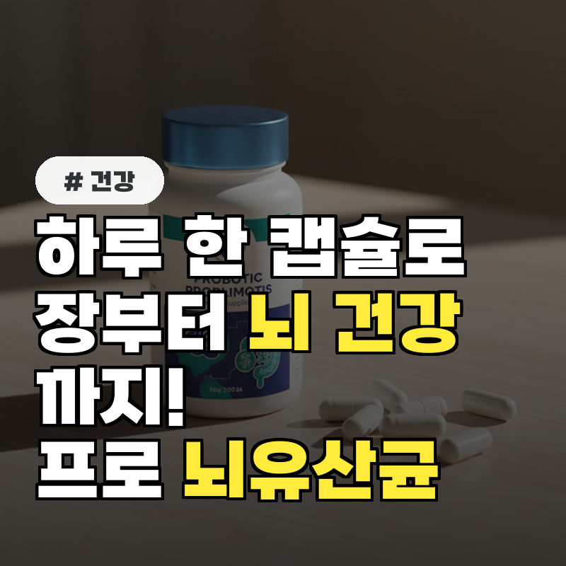 하루 한 캡슐로 장부터 뇌 건강까지! 프로 뇌유산균