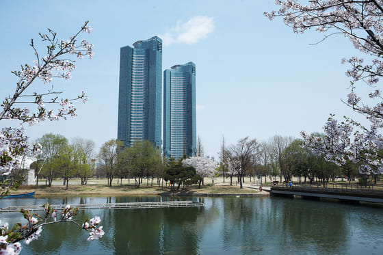 방송인 장영란 성수동 갤러리아 포레 94억5천만원에 매입