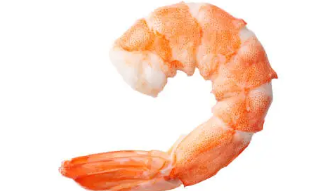 8월 제철 음식