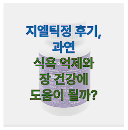 지엘틱정에 관한 글 보러 가기 링크 사진