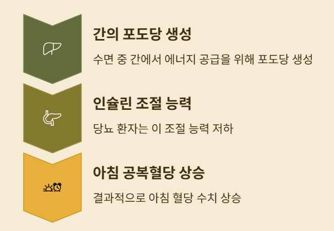 아침공복혈당 높을 때 밤사이 혈당 관리 완벽 가이드!