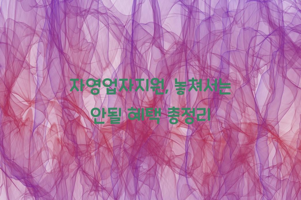 자영업자지원