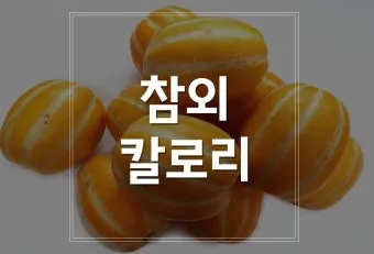 참외 1개 칼로리와 gi 혈당 지수 건강 관리 정보_8