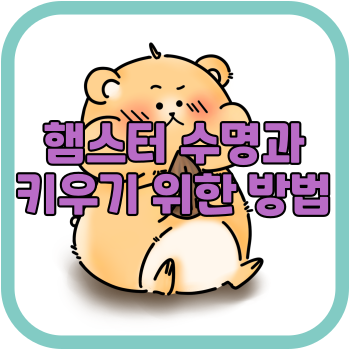 햄스터 수명과 키우기 위한 방법