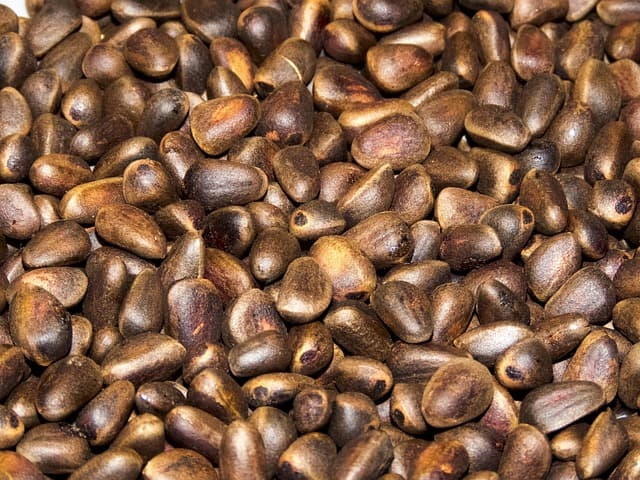 잣으로 만든 웰빙 건강식품: 자연이 주는 면역력 강화