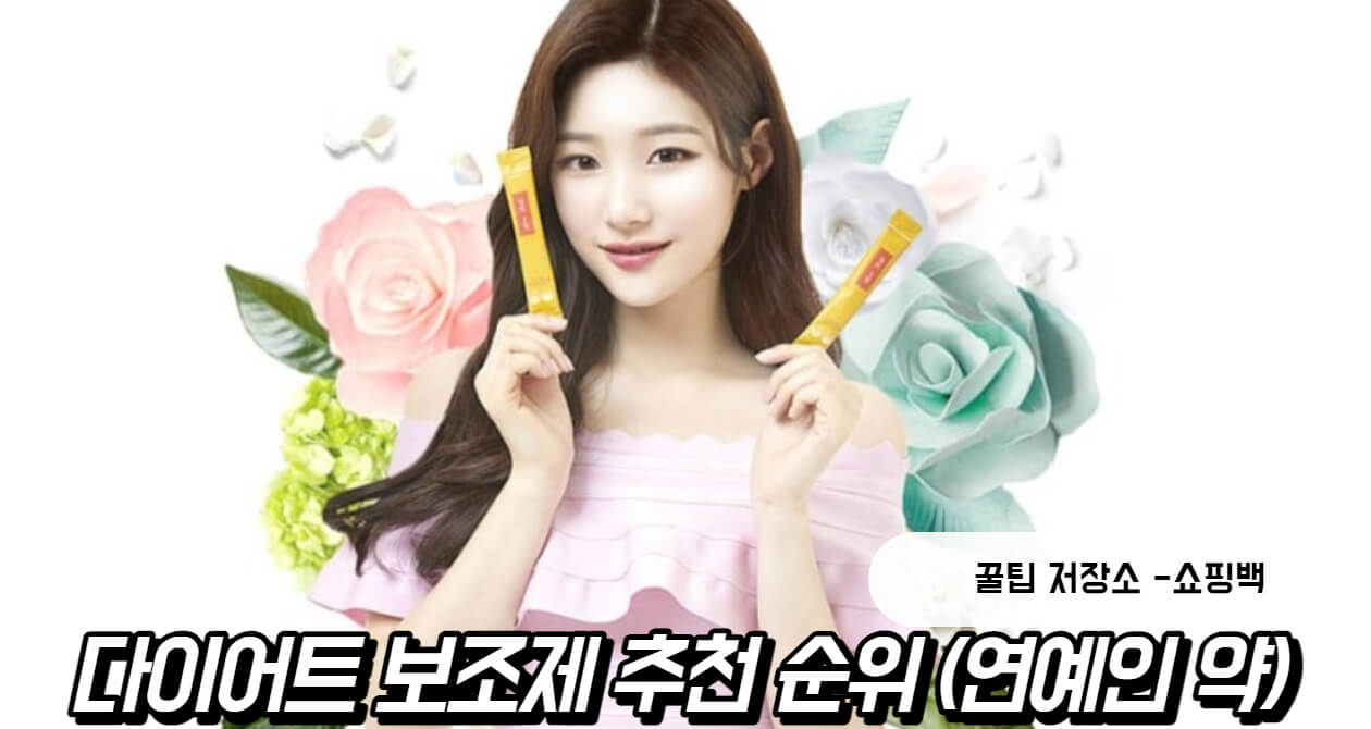 다이어트 보조제 추천 순위 BEST3