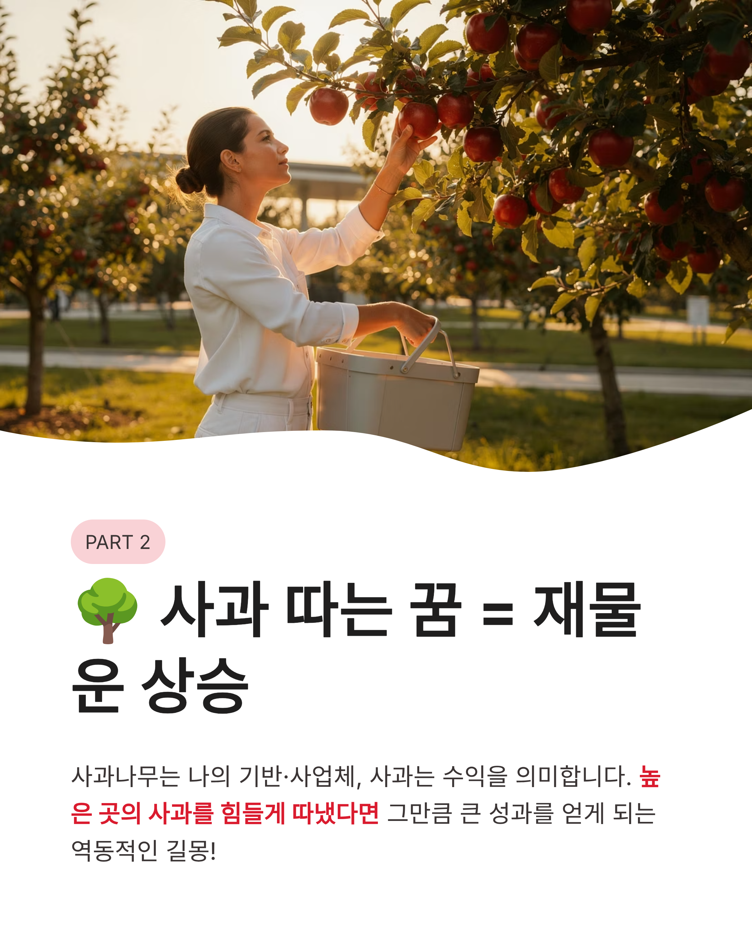 사과꿈 해몽 빨간 사과 먹고 따는 태몽까지? 탐스러운 행운의 비밀 공개!