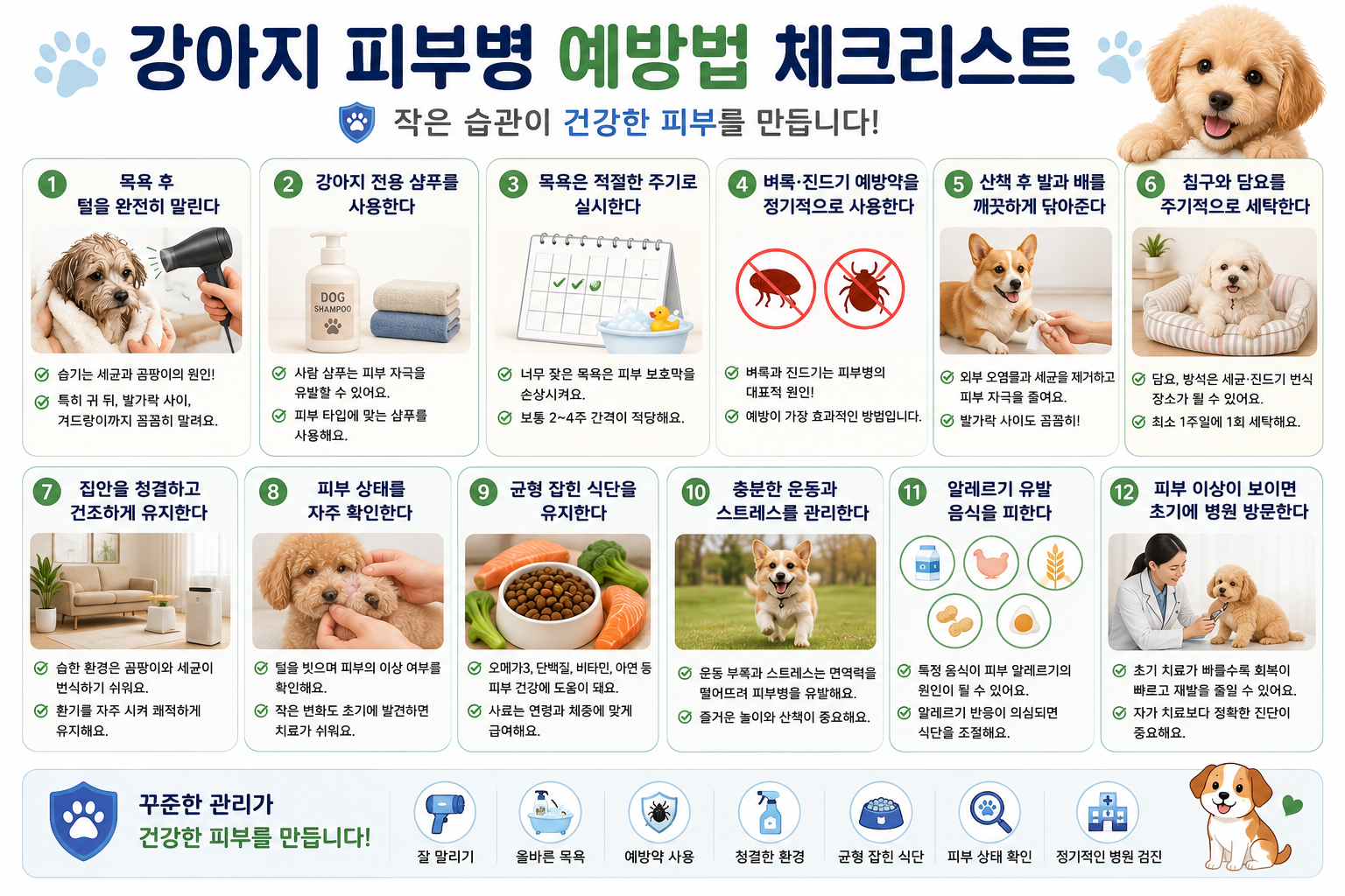 강아지 피부병 예방 체크리스트 이미지