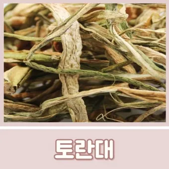 토란대줄기 수확시기토란대 말리는 방법까지 안내_23