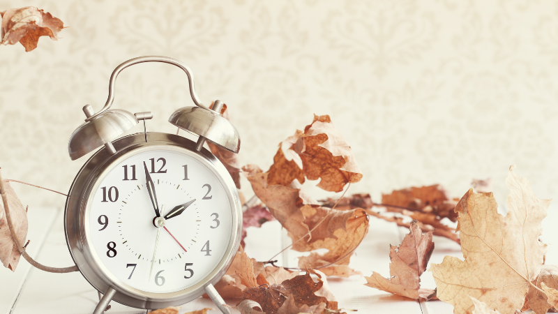 고정비를 줄여도 체감이 없는 이유