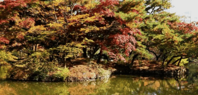 서울근교 단풍 명소 추천