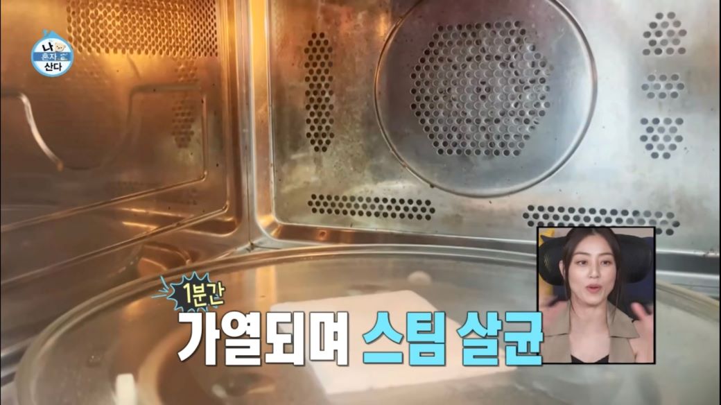전자레인지 물티슈 애경 1분 스팀클리너