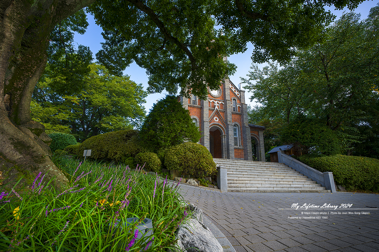 아산 공세리 공세리성당 가톨릭 성당