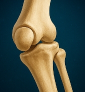 비타민D 하루 권장량