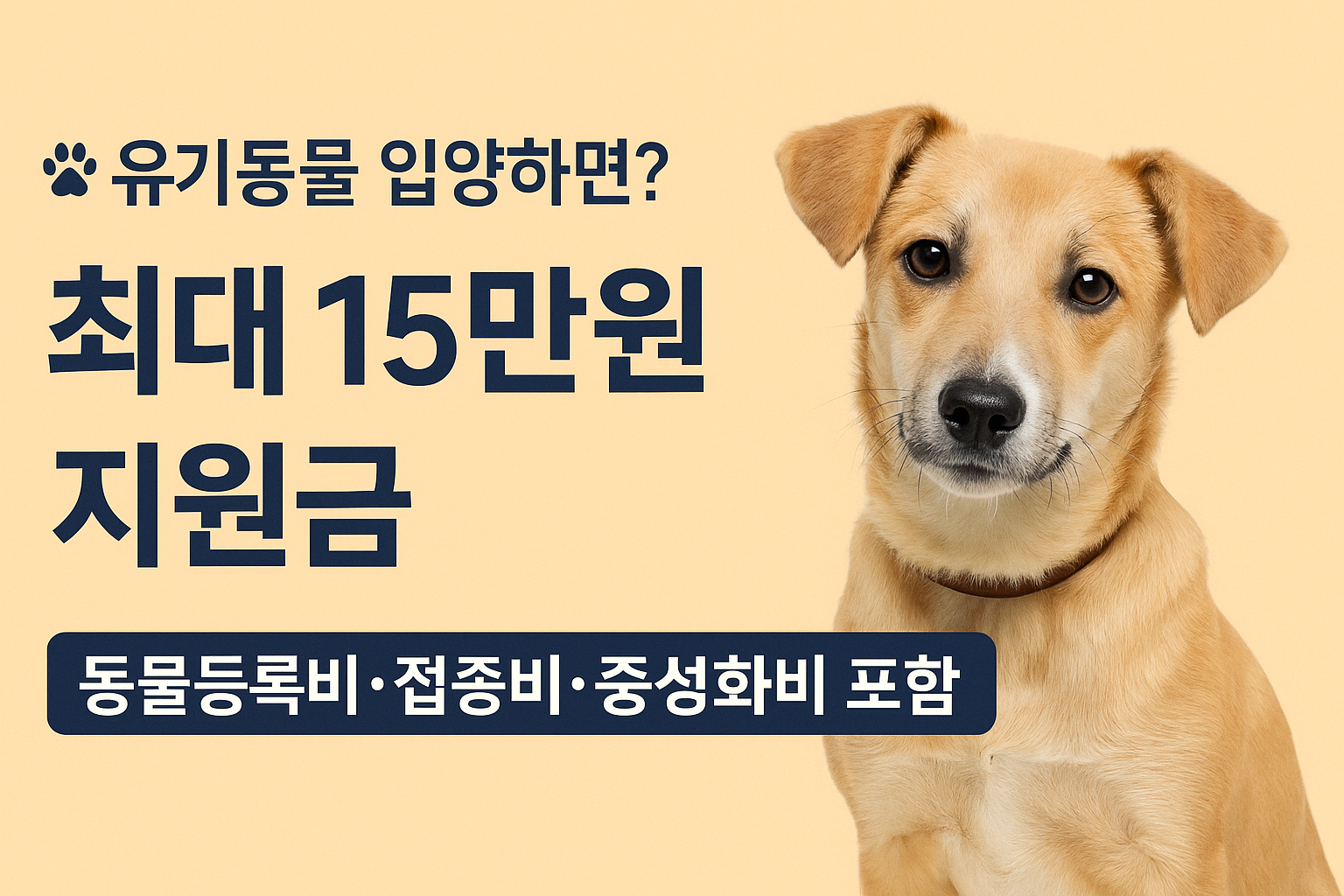 유기동물입양