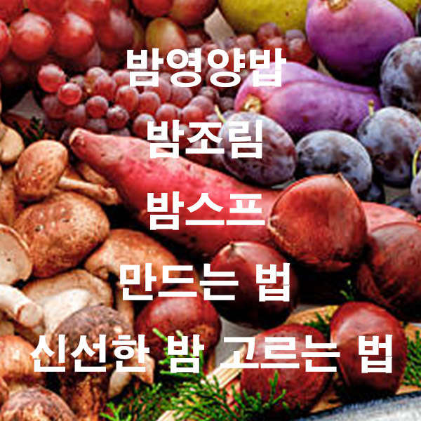 밤영양밥 밤조림 밤스프 만드는 법 신선한 밤 고르는 법