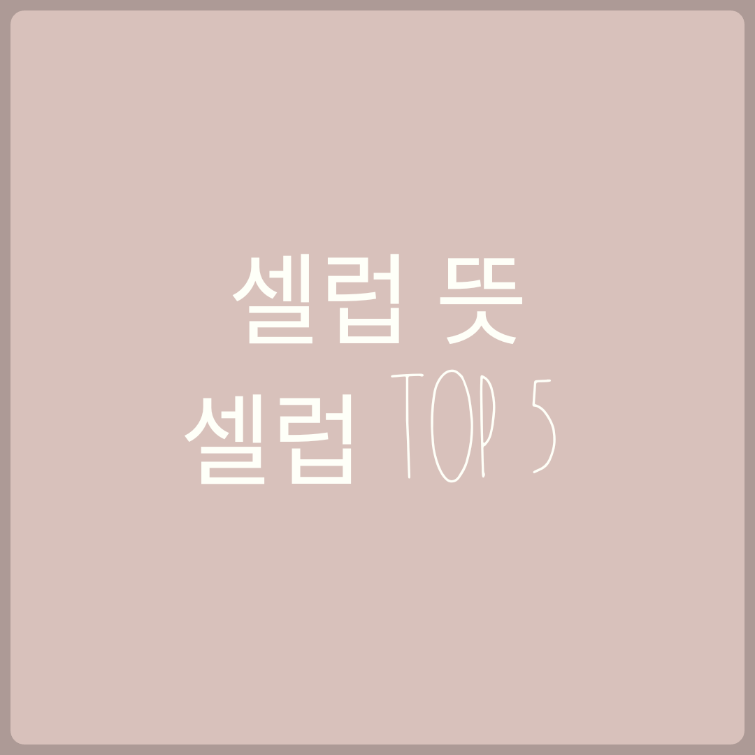 셀럽 TOP5