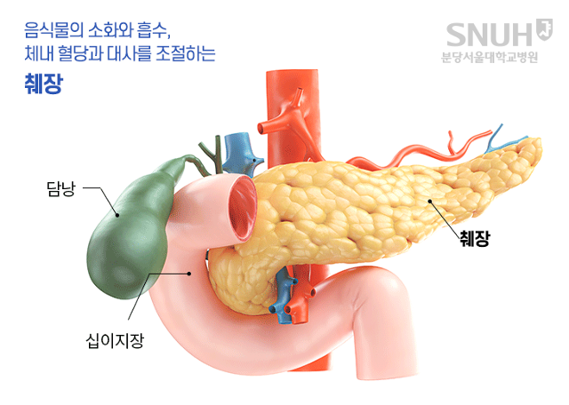 췌장암 신약 FDA 패스트 트랙 지정