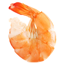 단백질이 많은 음식