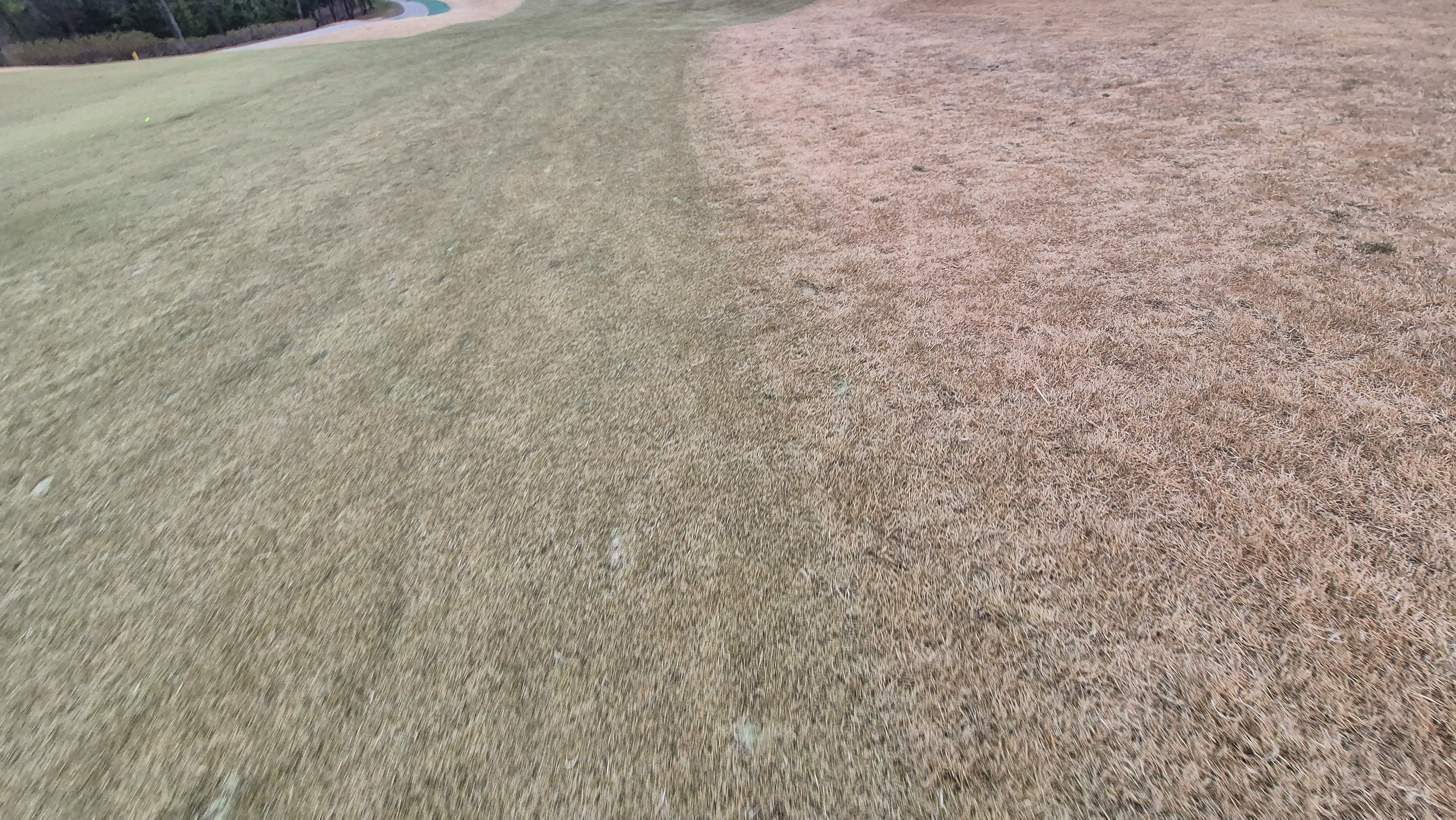 더헤븐cc 사우스-웨스트 코스 관리 상태