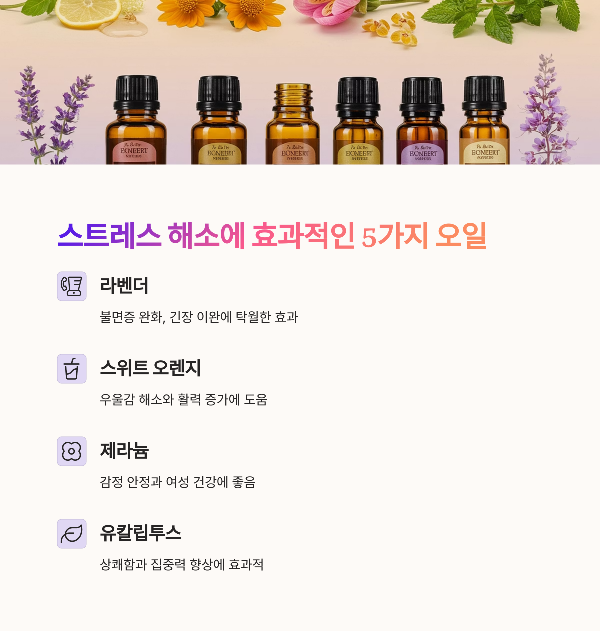 추천 아로마 &amp; 에센셜 오일 5선